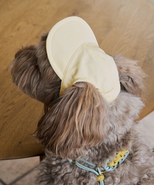 ROPE' PICNIC（ロペ ピクニック） 犬 服 「DOG」「comif(コミフ)×ROPE