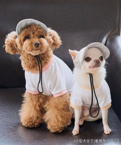 ROPE' PICNIC（ロペ ピクニック） 犬 服 「DOG」「comif(コミフ)×ROPE
