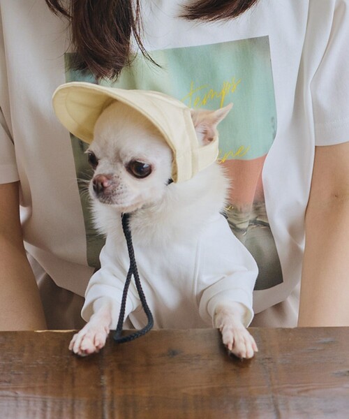 ROPE' PICNIC（ロペ ピクニック） 犬 服 「DOG」「comif(コミフ)×ROPE