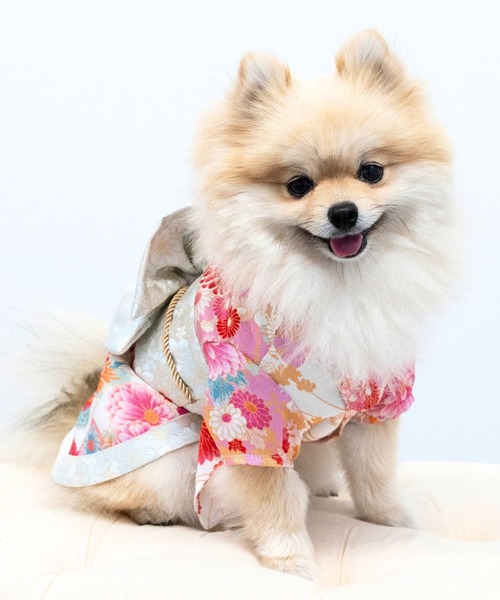 ONEKOSAMA OINUSAMA（おねこさま・おいぬさま） 犬 服 「新色」着物風