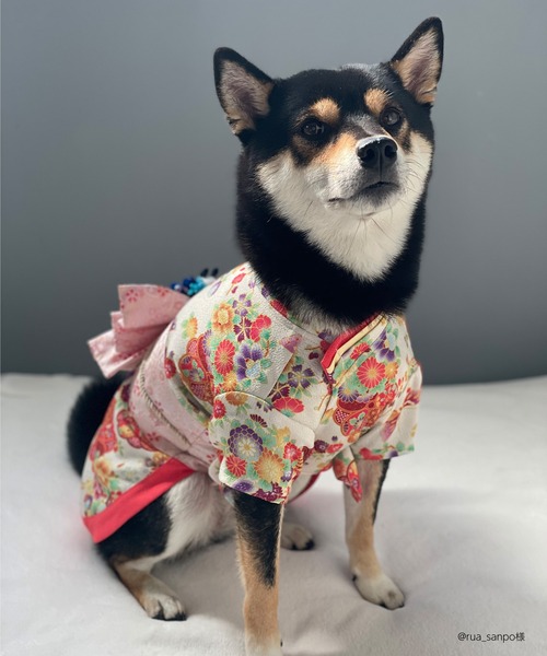 専用★犬服 クリーム色 着物★ SESAMI STREET ビッグバードアップリケトレーナー ペット用品