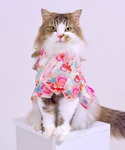 犬 服 「新色」着物風ペットウェア(XS〜2L)の詳細画像3