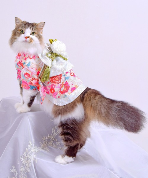 ONEKOSAMA OINUSAMA（おねこさま・おいぬさま） 犬 服 「新色」着物風