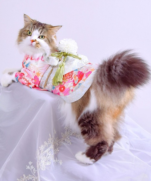 ONEKOSAMA OINUSAMA（おねこさま・おいぬさま） 犬 服 「新色」着物風