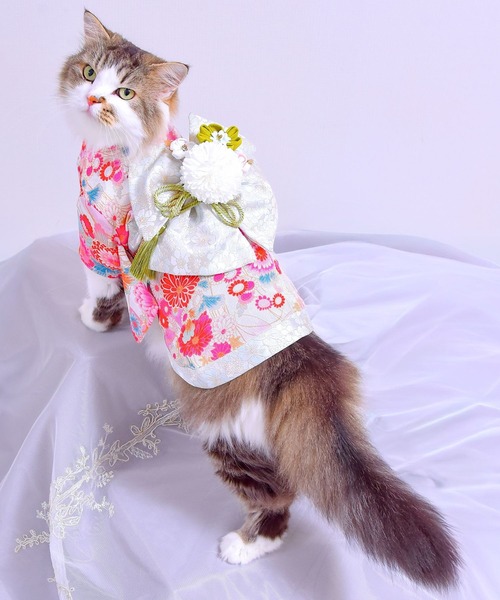 ONEKOSAMA OINUSAMA（おねこさま・おいぬさま） 犬 服 「新色」着物風