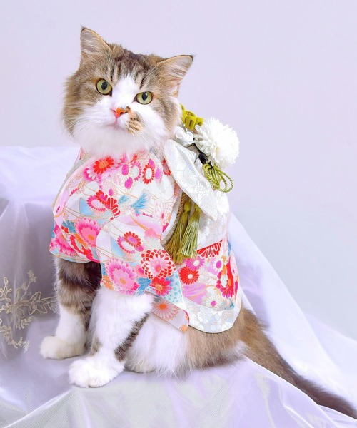 ONEKOSAMA OINUSAMA（おねこさま・おいぬさま） 犬 服 「新色」着物風