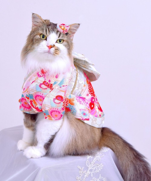 ONEKOSAMA OINUSAMA（おねこさま・おいぬさま） 犬 服 「新色」着物風