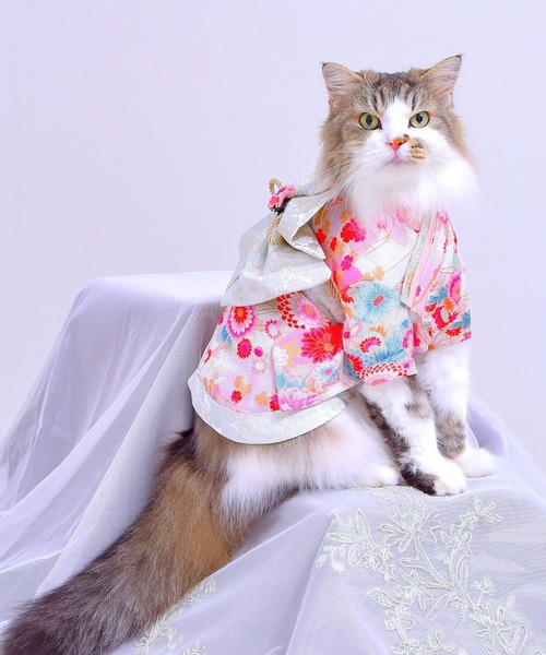 ONEKOSAMA OINUSAMA（おねこさま・おいぬさま） 犬 服 「新色」着物風