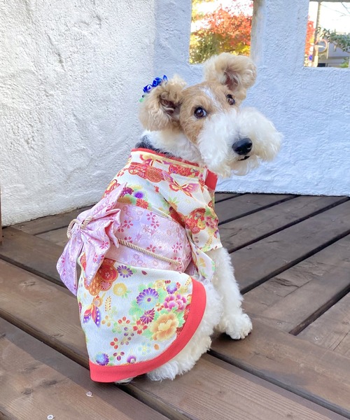 ONEKOSAMA OINUSAMA 犬 服 着物風ペットウェア（XS〜2L） 「ZOZO