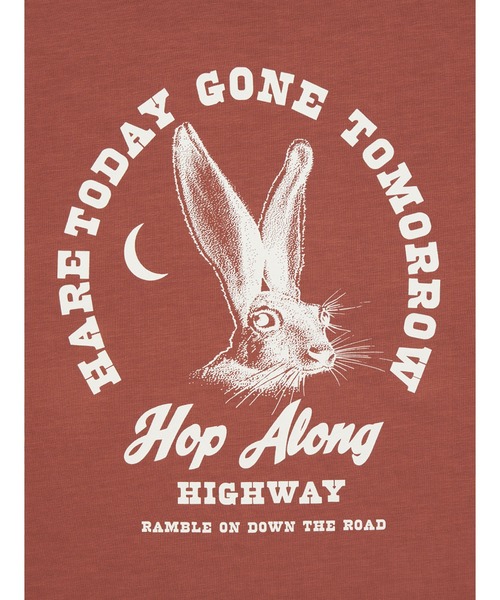 Levi's（リーバイス） tシャツ ヴィンテージフィット グラフィック T