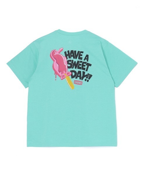 新品　CHUMS 接触冷感　Tシャツ レディース　オーバーサイズ　bm 新品 CHUMS 接触冷感 Tシャツ レディース オーバーサイズ bm