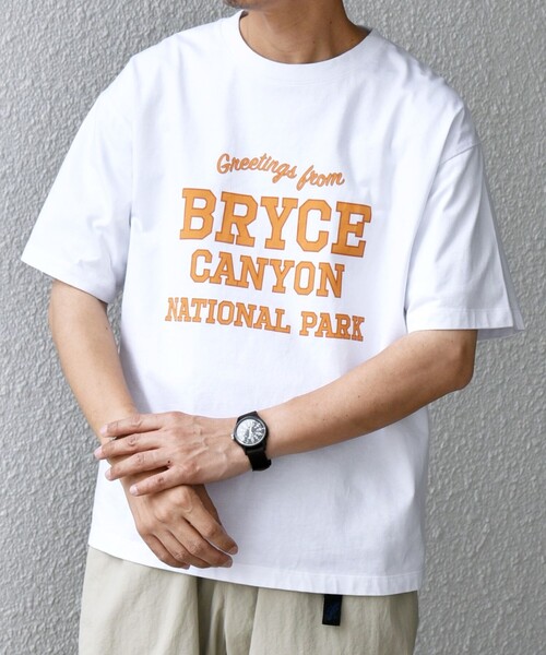 SHIPS any tシャツ any: NATIONAL PARK ヴィンテージライク プリント T