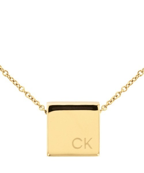 Calvin Klein（カルバン・クライン） ネックレス MERIDIAN ユニ