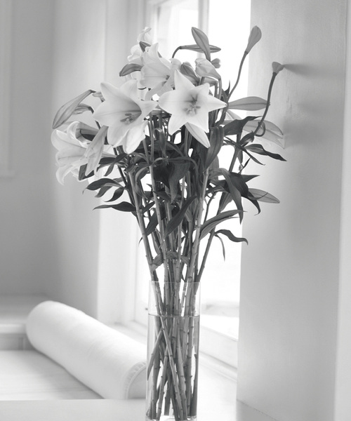 APOTHIA ルームフレグランス DIFFUSER CASA(ディフューザー