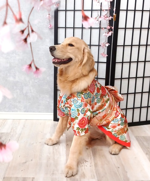 ONEKOSAMA OINUSAMA（おねこさま・おいぬさま） 犬 服 「新色」着物風