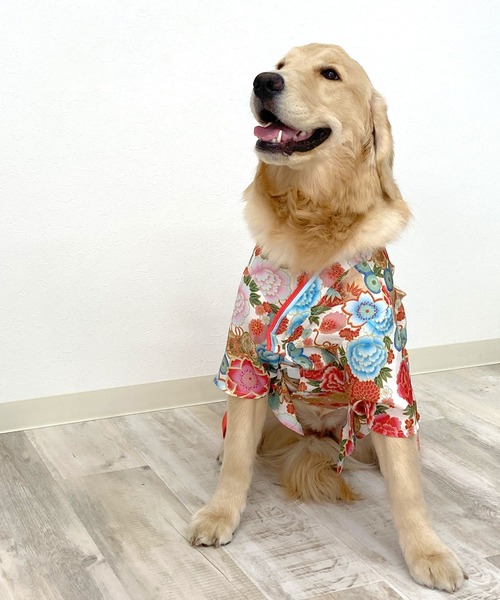 ONEKOSAMA OINUSAMA 犬 服 「新色」着物風ペットウェア（3L〜6L