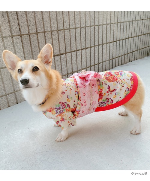 犬服和装 ONEKOSAMA 大型犬 犬服和装 ONEKOSAMA 大型犬 楽天市場】＼最大2,000円OFFクーポン