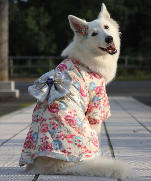 ONEKOSAMA OINUSAMA（おねこさま・おいぬさま） 犬 服 「新色」着物風