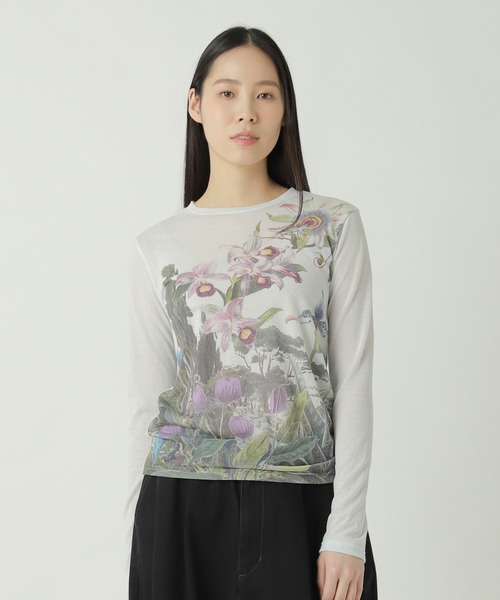 ZUCCa（ズッカ） tシャツ SHEER WILD FLOWER / カットソー / P