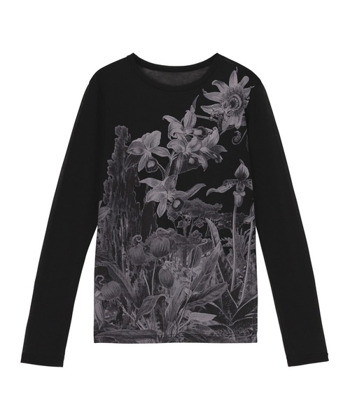 【美品】ZUCCa ズッカ リブウラケ トップス ZUCCa（ズッカ） tシャツ SHEER WILD FLOWER / カットソー / P