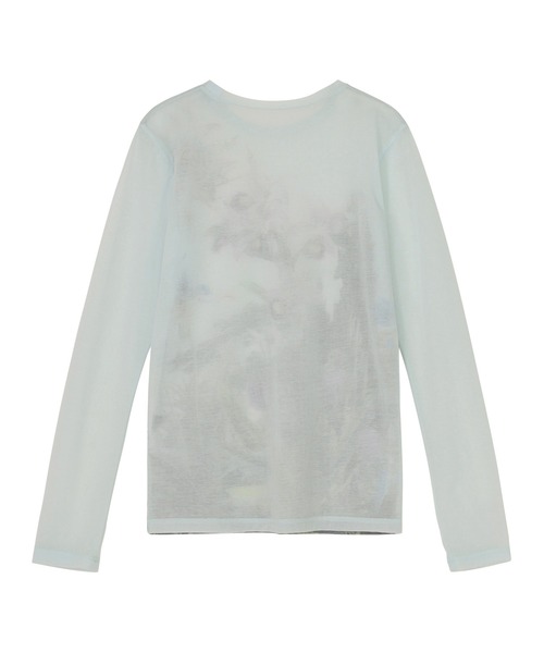 ZUCCa（ズッカ） tシャツ SHEER WILD FLOWER / カットソー / P