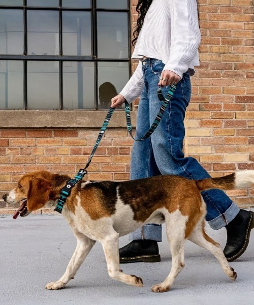 WOLFGANG MAN & BEAST 犬用首輪、ハーネス、リード｜犬用品｜ペット