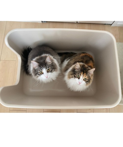 【ONEKOSAMA】　猫トイレ　beauty ONEKOSAMA OINUSAMA インテリア猫トイレ「BEAUTY PLUS