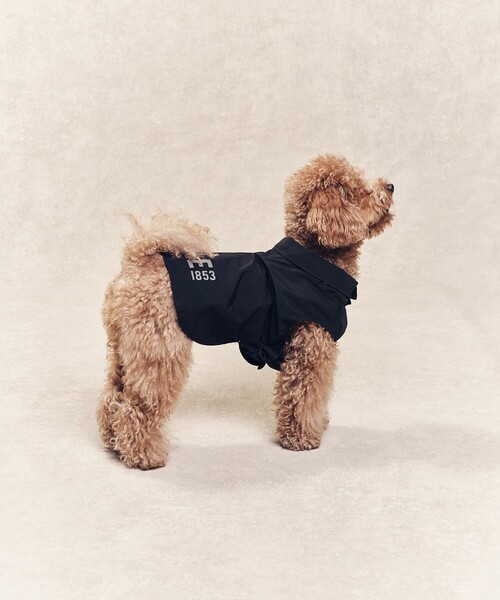 AIGLE（エーグル） 犬 服 撥水 レインパック フォー ドッグ : ZOZOTOWN