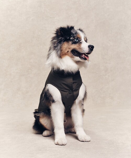 AIGLE（エーグル） 犬 服 撥水 レインパック フォー ドッグ : ZOZOTOWN