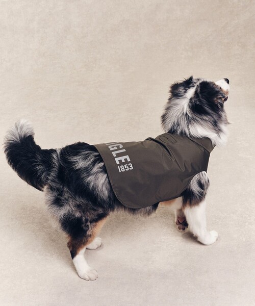 AIGLE（エーグル） 犬 服 撥水 レインパック フォー ドッグ : ZOZOTOWN