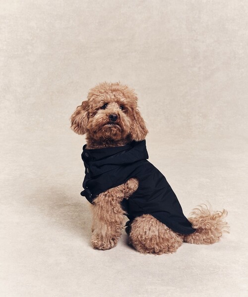 AIGLE（エーグル） 犬 服 撥水 レインパック フォー ドッグ : ZOZOTOWN