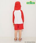 水着 SESAME STREET なりきり水着...の詳細画像3