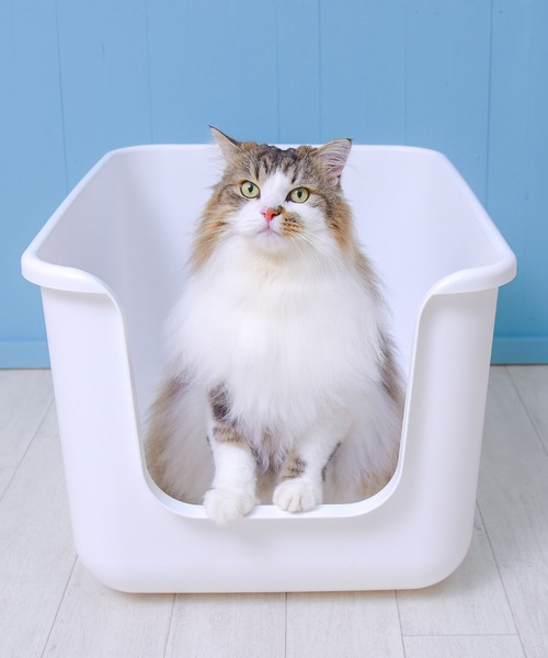 ONEKOSAMA OINUSAMA インテリア猫トイレ「BEAUTY」 : ZOZOTOWN Yahoo