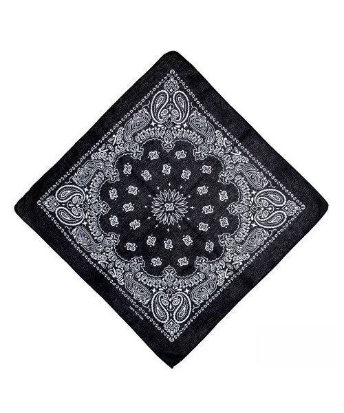 ALMO スカーフ バンダナ ペイズリーバンダナ/スカーフ55×55cm(NEZ