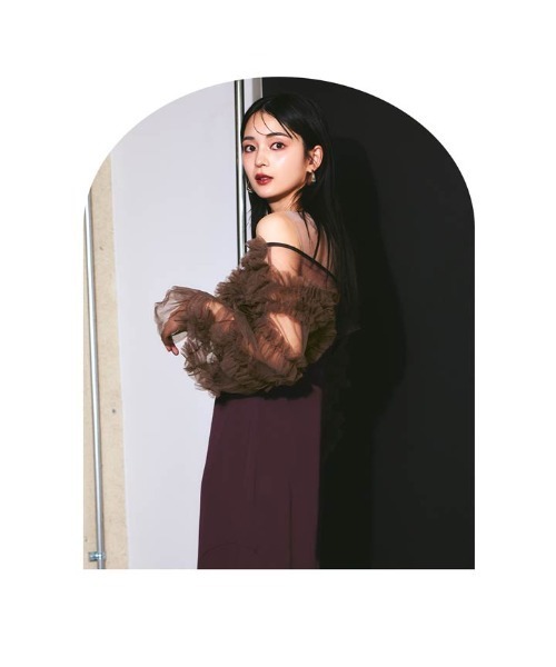 darial（ダリアル） ドレス 「darial」2way tule bolelo dress 2点