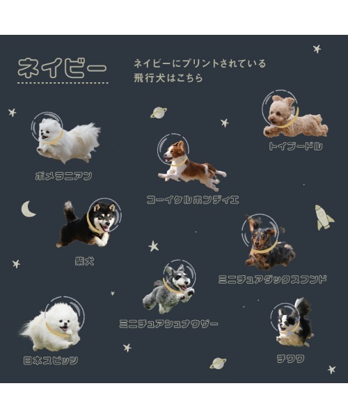 Wpc. 日傘 完全遮光 折りたたみ傘 折り畳み 晴雨兼用 飛行犬× 宇宙飛行