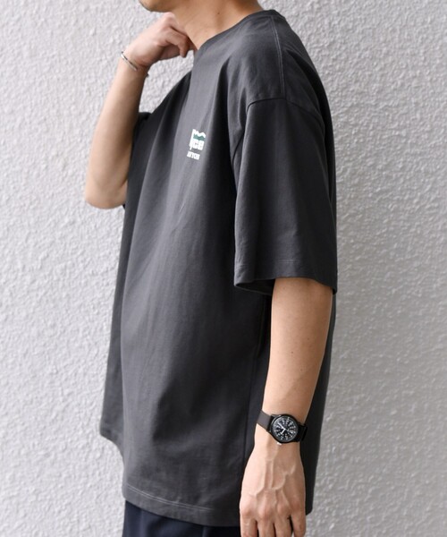 SHIPS any tシャツ 「WEB限定」SHIPS any: NATIONAL PARK ヴィンテージ
