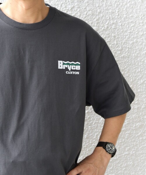 SHIPS any tシャツ 「WEB限定」SHIPS any: NATIONAL PARK ヴィンテージ