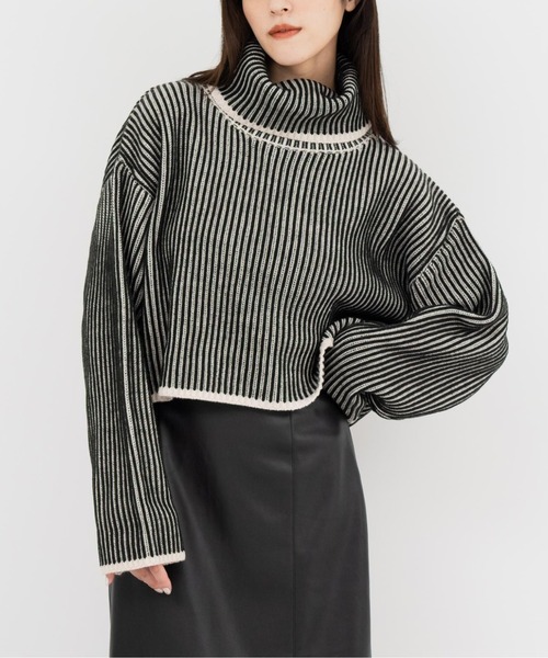 ANAP（アナップ） ニット セーター 配色リバーシブルタートル