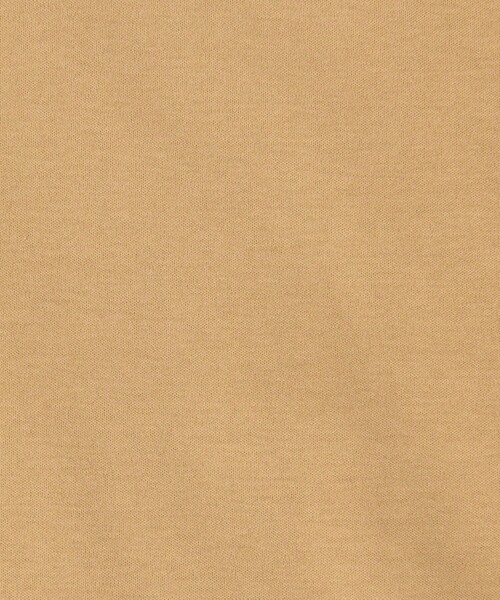 Ballsey tシャツ スビンコットンスムース ボートネックプル