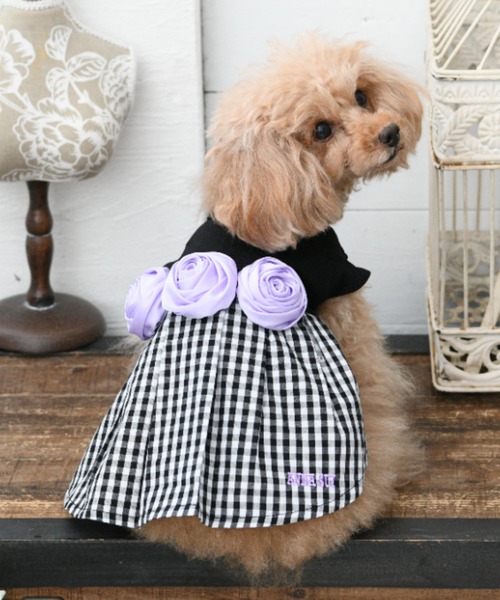 ANNA SUI（アナスイ） 犬 服 ANNA SUI/バラコサージュギンガムチェック