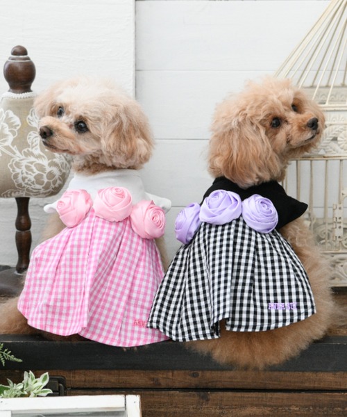 ANNA SUI（アナスイ） 犬 服 ANNA SUI/バラコサージュギンガムチェック