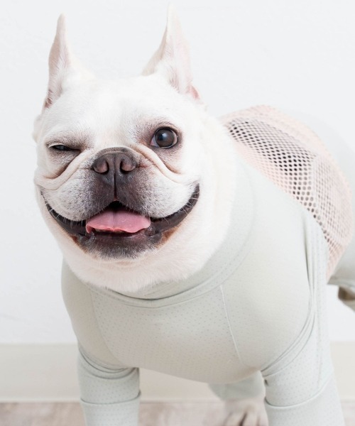 ONEKOSAMA OINUSAMA（おねこさま・おいぬさま） 犬 服 空調ペット服 不