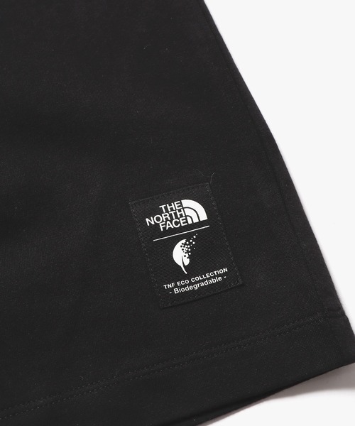THE NORTH FACE tシャツ FACE/ザ・ノースフェイス BRYCE S/SR