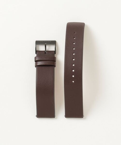 SKAGEN（スカーゲン） 腕時計 腕時計 メンズ アナログ ステンレス
