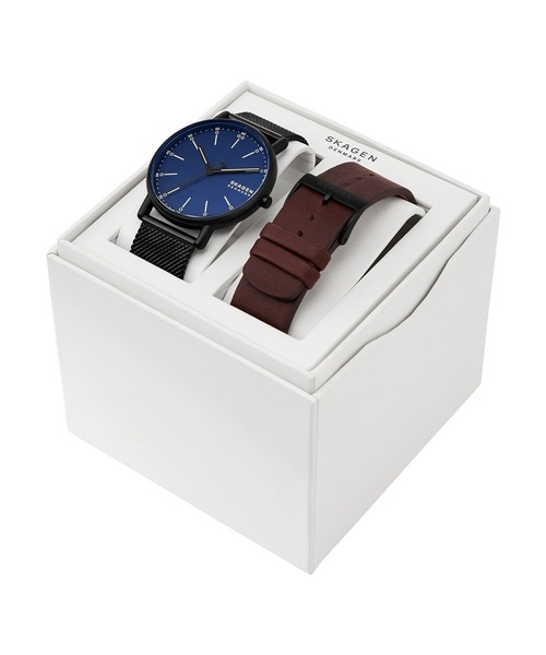 SKAGEN 腕時計 スカーゲン メンズ アナログ ステンレス