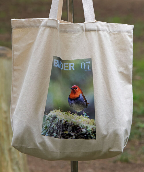 CIAOPANIC トートバッグ 「WEB限定」「BIRDER×BIRDMANIA」雑誌