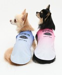 犬 服 EDWIN/グラデフェードメッシュタンクの詳細画像1