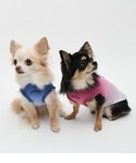 犬 服 EDWIN/グラデフェードメッシュタンクの詳細画像2