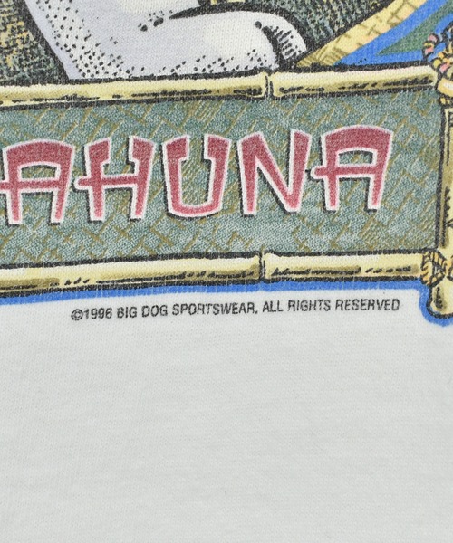 VINTAGE tシャツ 「ヴィンテージ古着」90's BIG DOGS プリントTシャツ